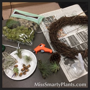 How to Make a Airplant Wreath