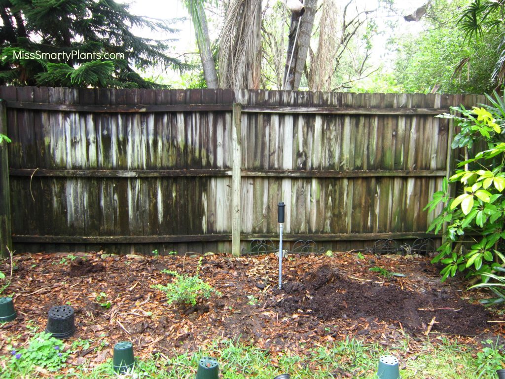 DIY trellis project